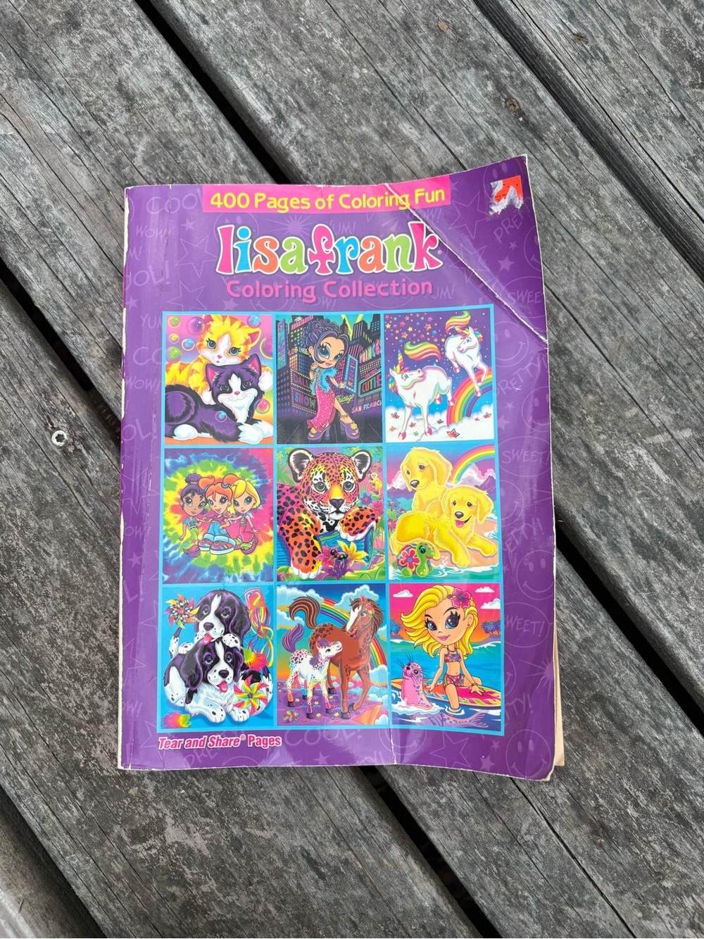 Y2K 2005 Lisa frank 400 page coloring book